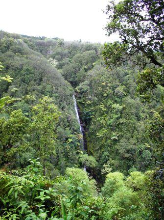 Akaka Falls near Hilo, HI