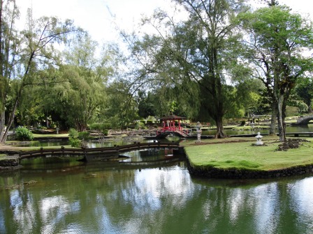 Hilo Japanese garden
