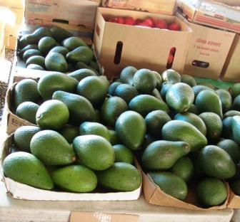 Avocados at Farmers Market in Hilo, Hawaii